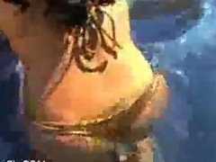 BIKINI BISCUIT POUNDED
